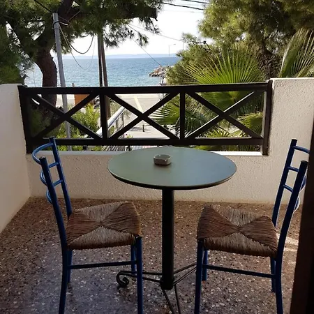 Marina Hotel 2*