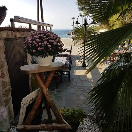 Hotel Marina